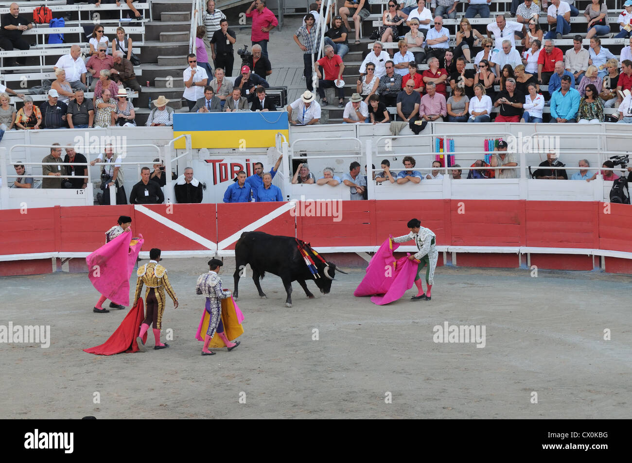 Banderilleros und Matador in der Nähe von Verwundeten schwarzen Stier kurz vor Ende der Bull kämpfen Corrida in römischen Arena-Arles-Frankreich Stockfoto