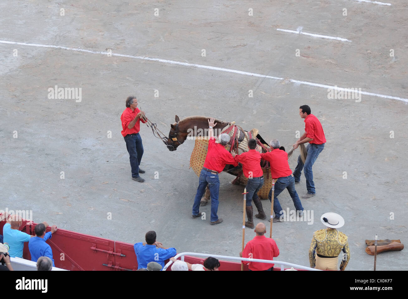 Pferd aufrecht zu stehen, nachdem er von Bull in Corrida Bulle geworfen zu helfen Männer kämpfen in römischen Arena-Arles-Frankreich Stockfoto