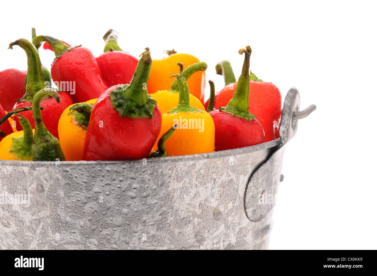 Nahaufnahme der sortierten frisch gepflückten Chilis und Paprika in einem Blecheimer mit Wassertropfen. Stockfoto