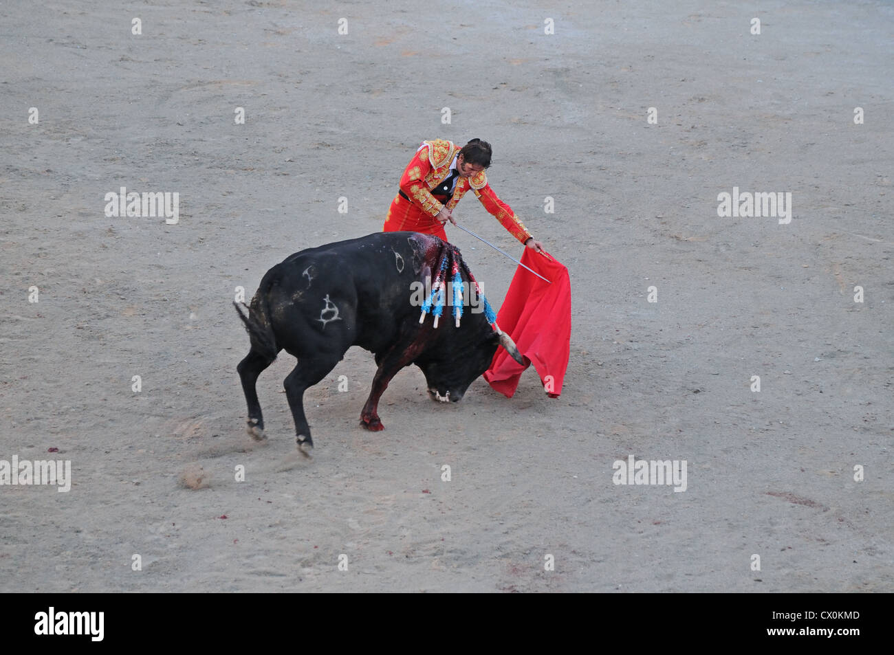 Matador mit Schwert und roten Umhang in der Nähe von Verwundeten schwarzen Stier Bull kämpfen Corrida in römischen Arena-Arles-Frankreich Stockfoto