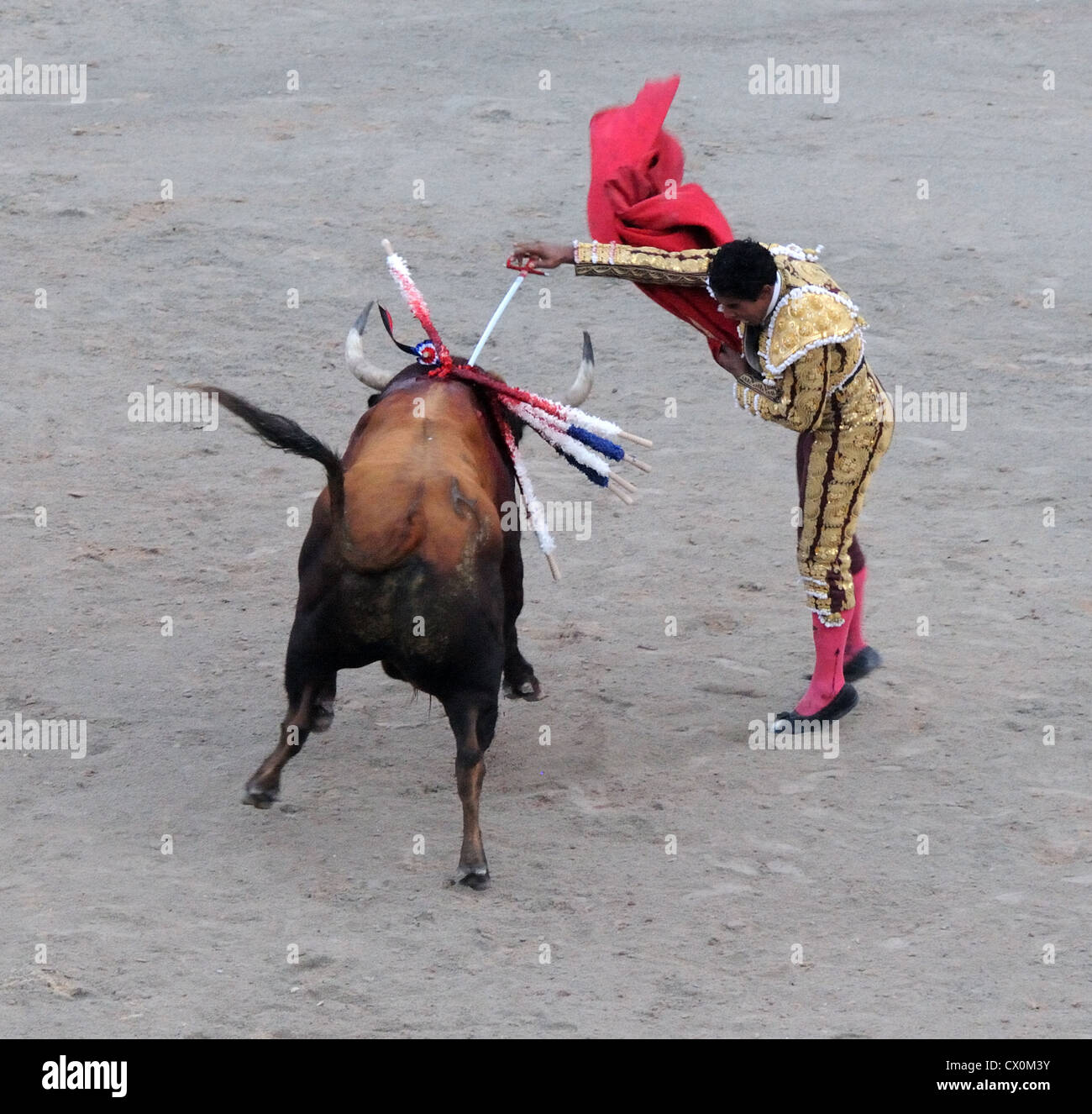 Matador Tötung Verwundeter Stier mit Schwert am Ende des Bull Kampf Corrida in römischen Arena-Arles-Frankreich Stockfoto
