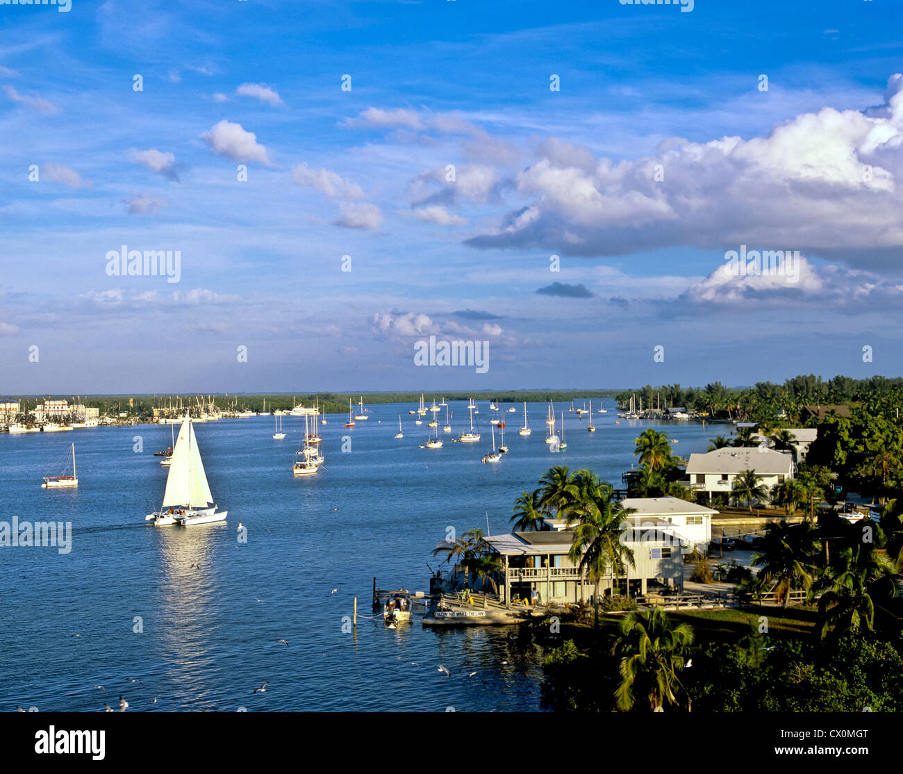 8197. Fort Myers Beach, Florida, USA Stockfoto