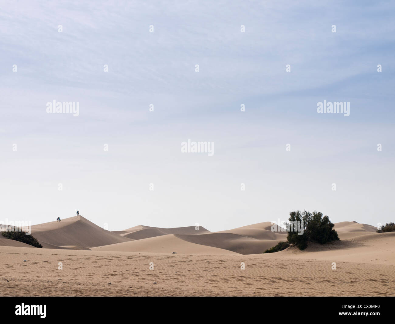 Wüste Spuren Dünen Himmel und sehr kleine Menschen auf den Dünen in Maspalomas auf Gran Canaria Stockfoto