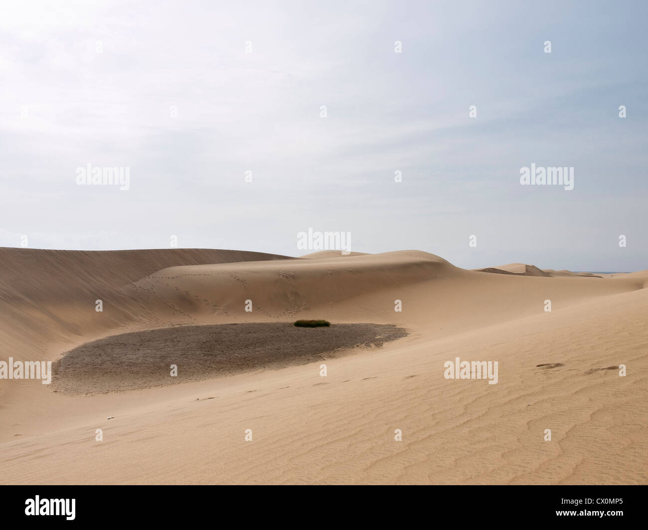Wüste Dünen und ausgetrockneten Teich in Maspalomas auf Gran Canaria Stockfoto
