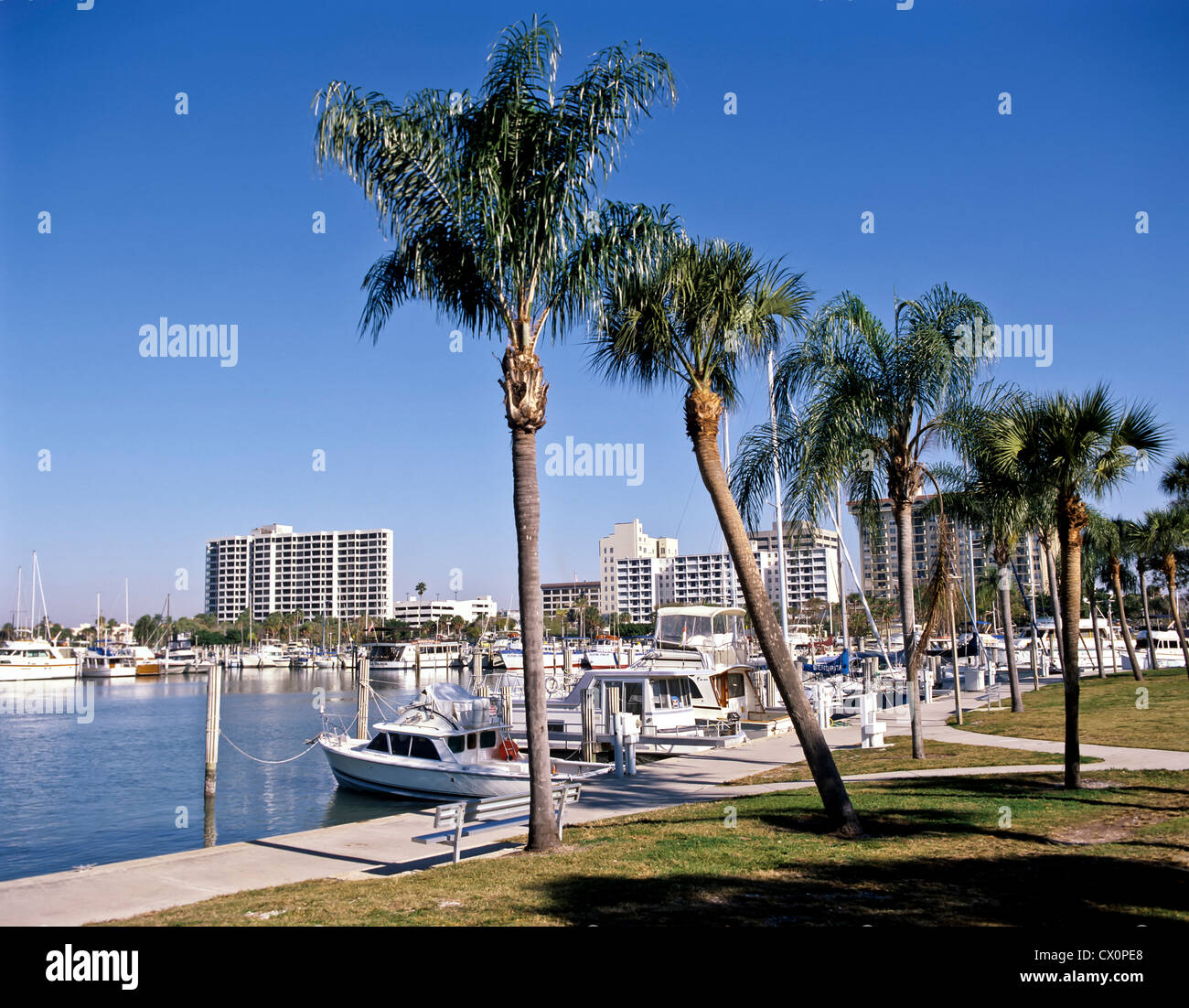 8261. Sarasota, Florida, USA Stockfoto