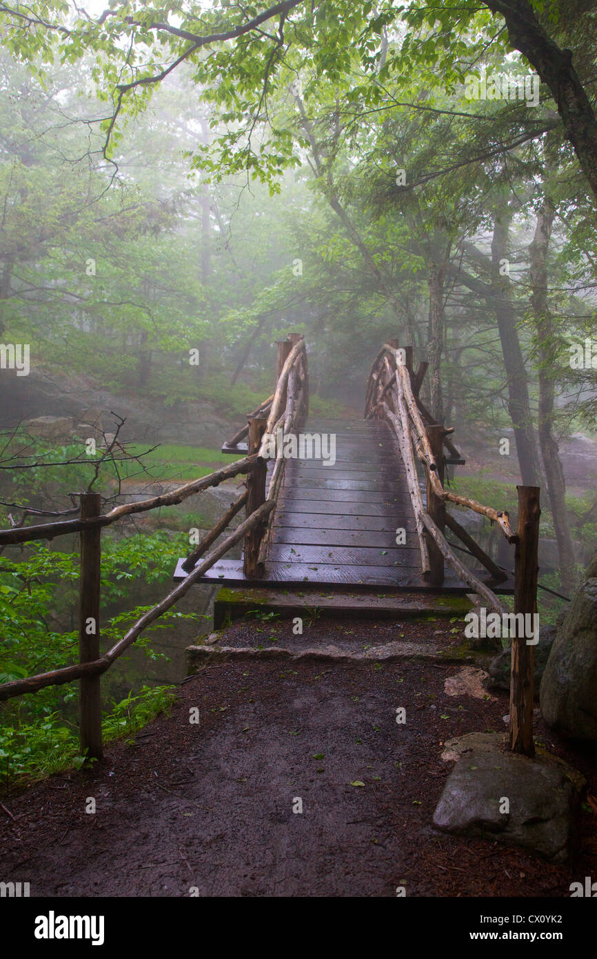 Fußgängerbrücke in einem Wald, Minnewaska State Park Preserve, New York, USA Stockfoto