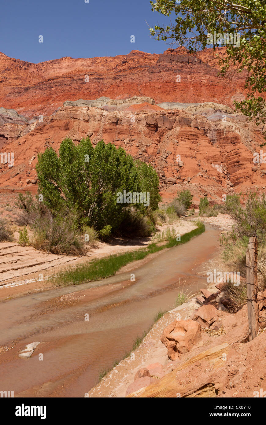 Der Paria Canyon Fluss, der durch die einsamen Dell Ranch bei Lees Ferry Historic District im nördlichen Arizona, USA Stockfoto