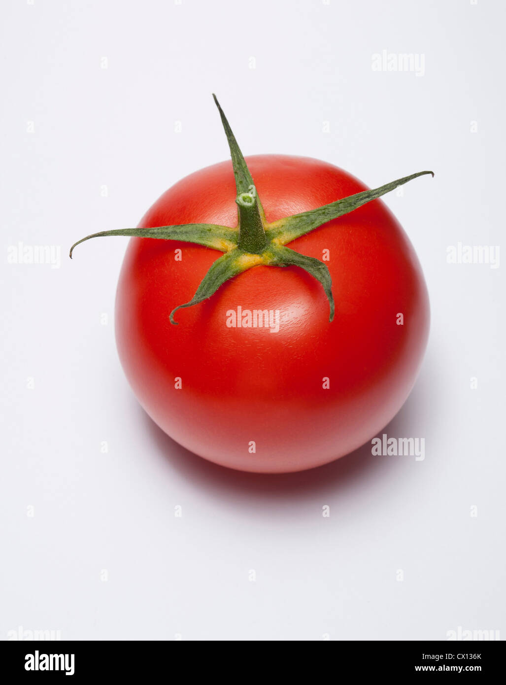Rote Tomate Stockfoto