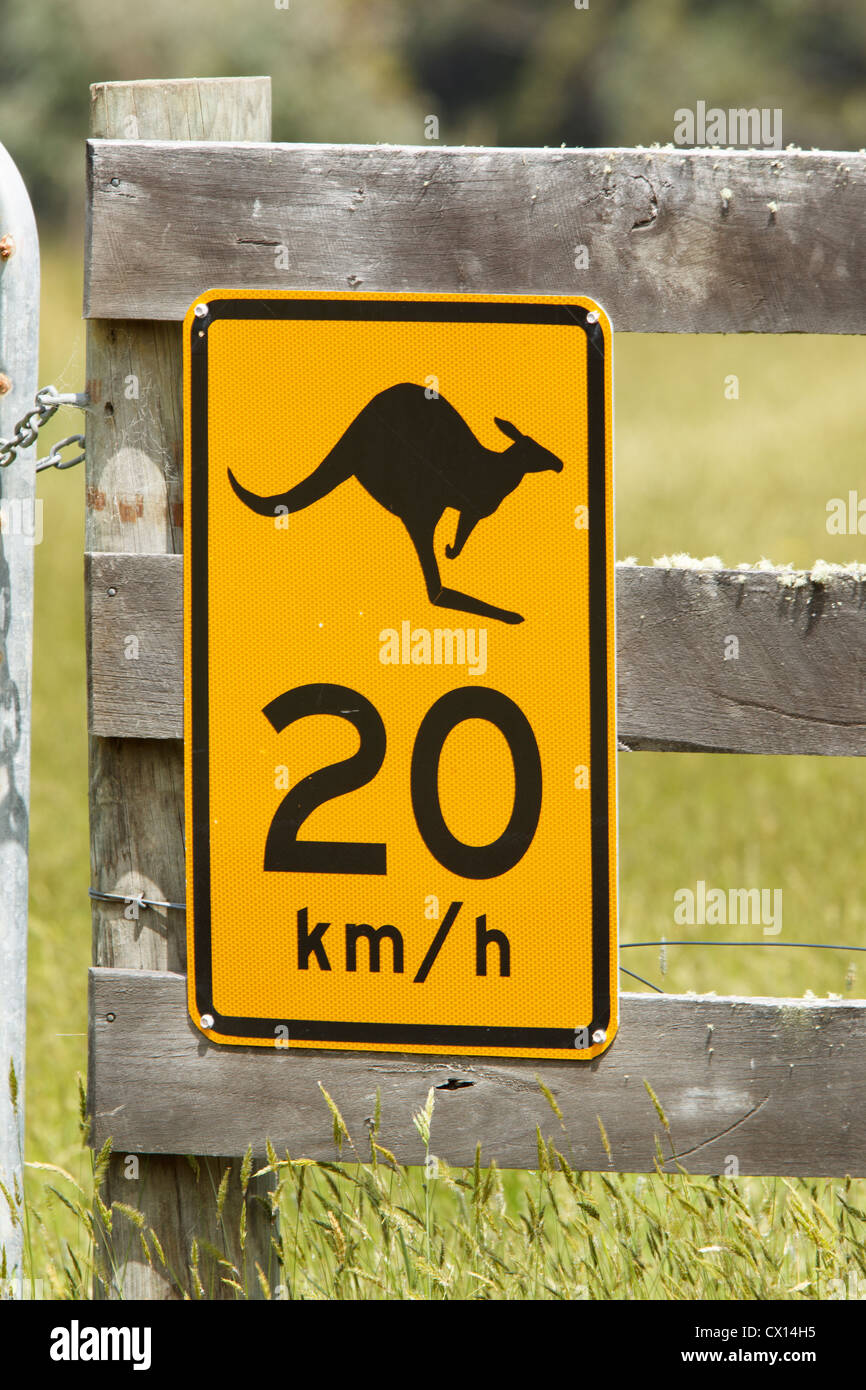 Känguru überquert haben, signalisieren in Bruny Island, Tasmanien, Australien Stockfoto