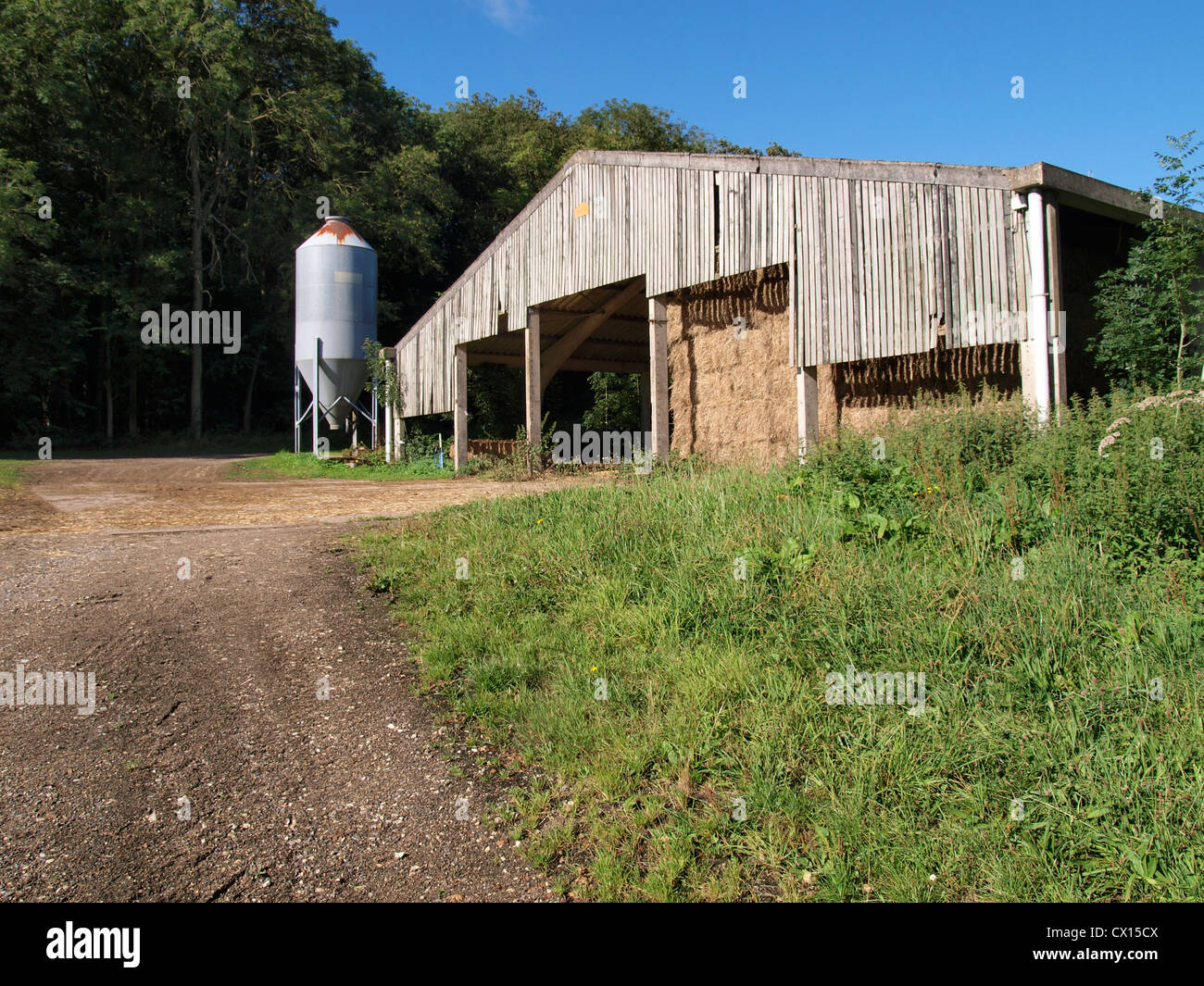 Landwirtschaftliche Scheune, UK Stockfoto