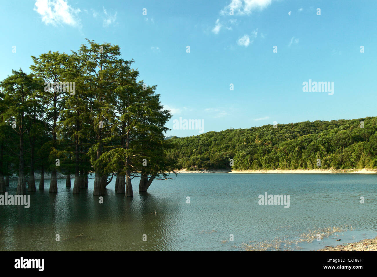 Bergsee mit Zypressen Stockfoto