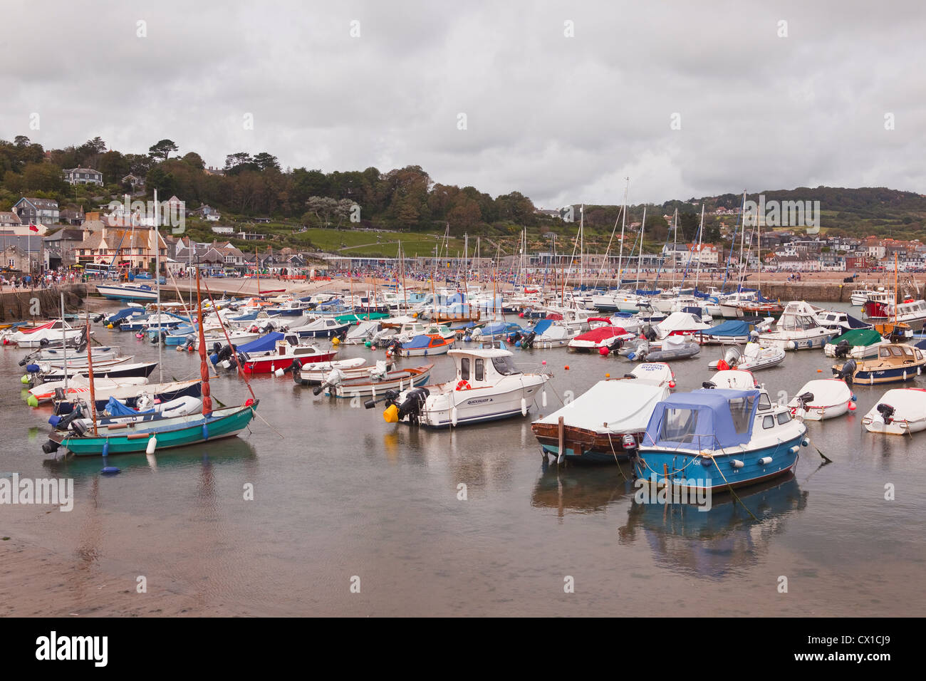 Blick über den Hafen auf Lyme Regis in Dorset. Stockfoto