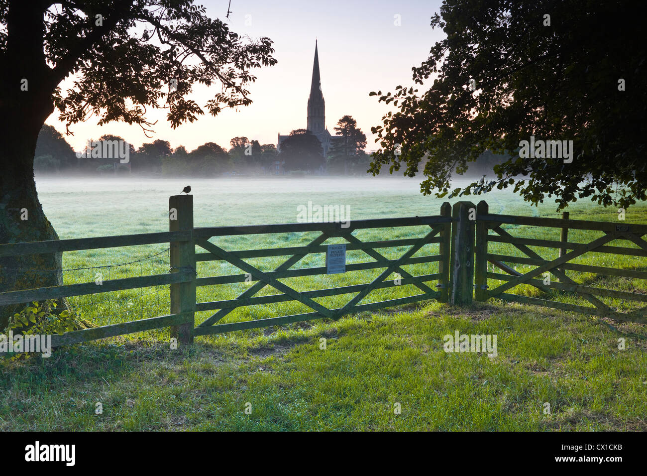 Blick über den Westen Harnham Auen in Richtung Kathedrale von Salisbury in der Morgendämmerung. Stockfoto