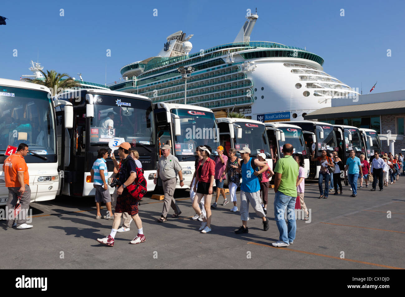 Kreuzfahrt-Passagiere einsteigen Tour-Busse Stockfoto