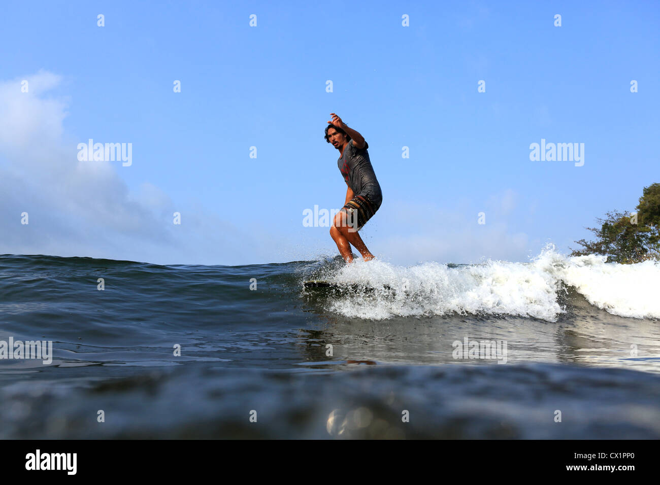 Lokalen Surfer Surfen die Punkt-Pause-Welle auf einem Longboard bei Batu Karas in West-Java. Stockfoto