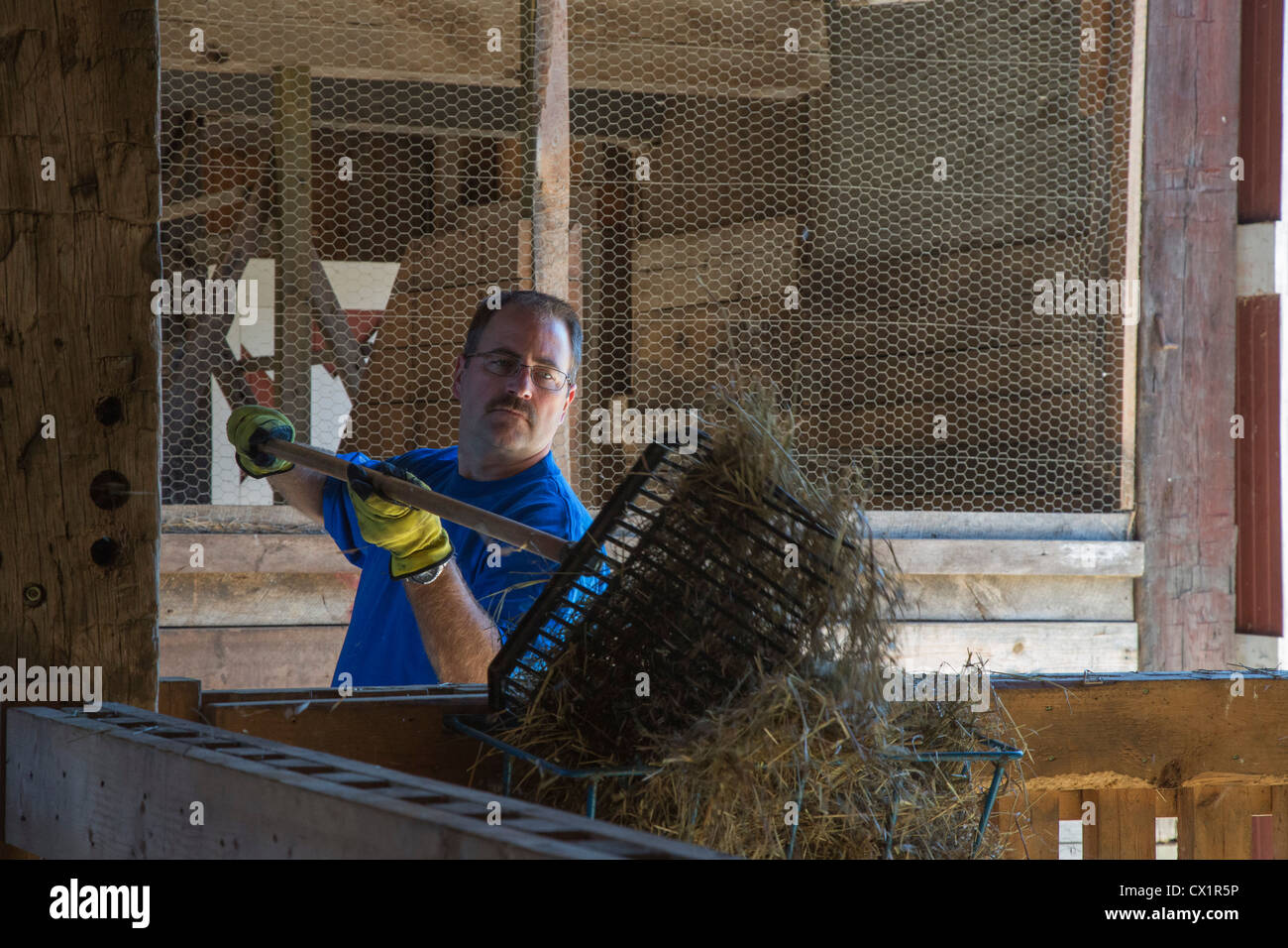 Ein Freiwilliger aus Ford Motor Co. füttert Heu für Tiere bei Maybury-Farm, ein pädagogischer Bauernhof für Kinder und Familien Stockfoto