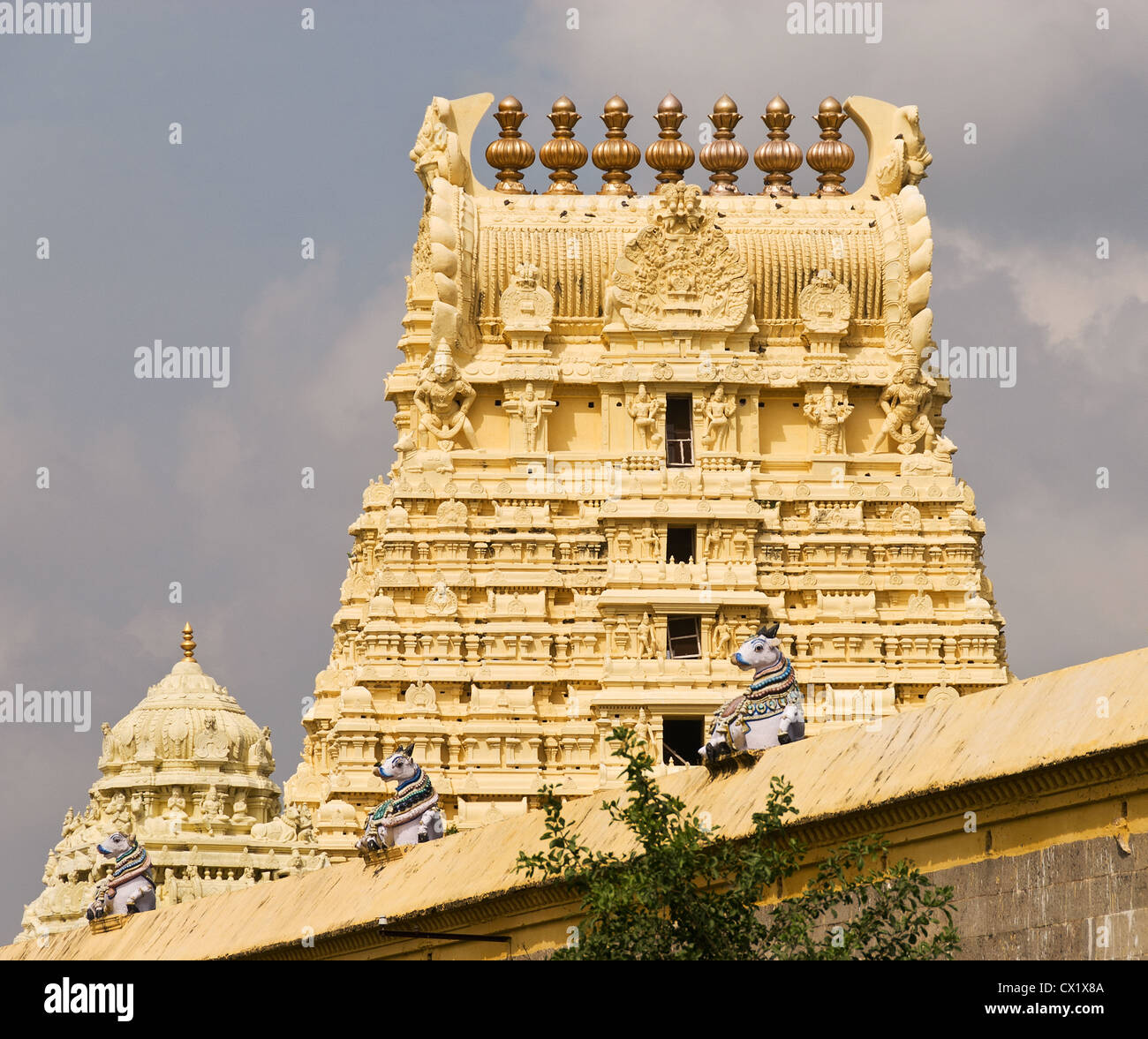 Elk201-4128 Indien, Tamil Nadu, Kanchipuram, Sri Ekambaranathar Tempel Stockfoto