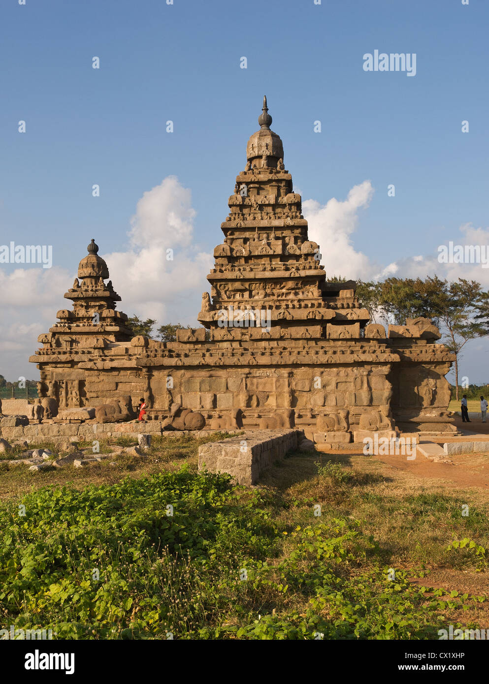 Elk201-4232v Indien, Tamil Nadu, Mamallapuram, Shore Tempel Stockfoto