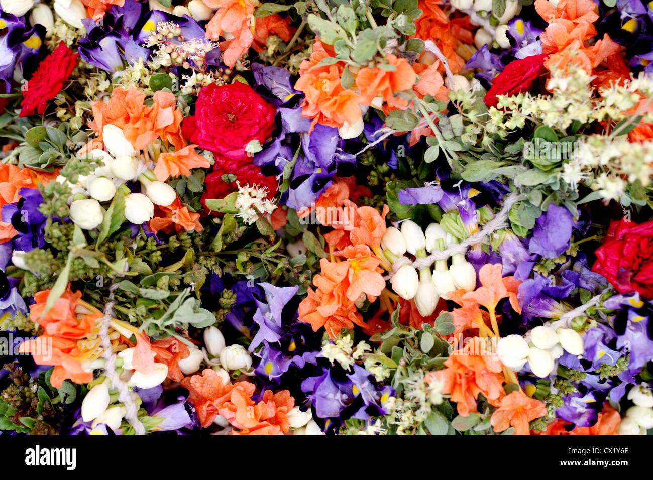 Detailansicht von Blumengirlanden Stockfoto