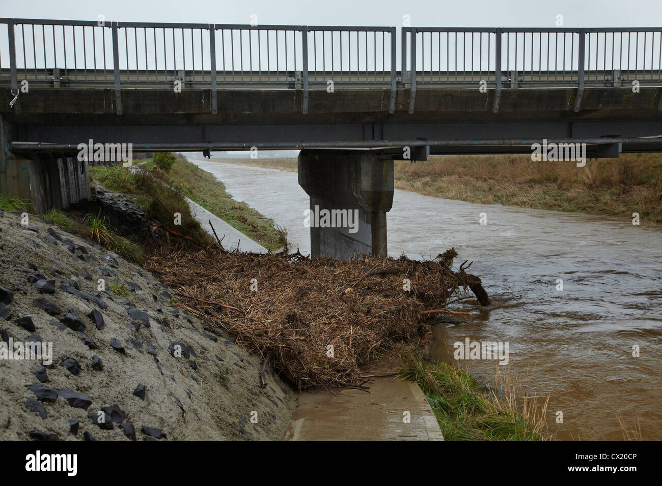Silber-Stream in Flut, Mosgiel, Dunedin, Otago, Südinsel, Neuseeland Stockfoto