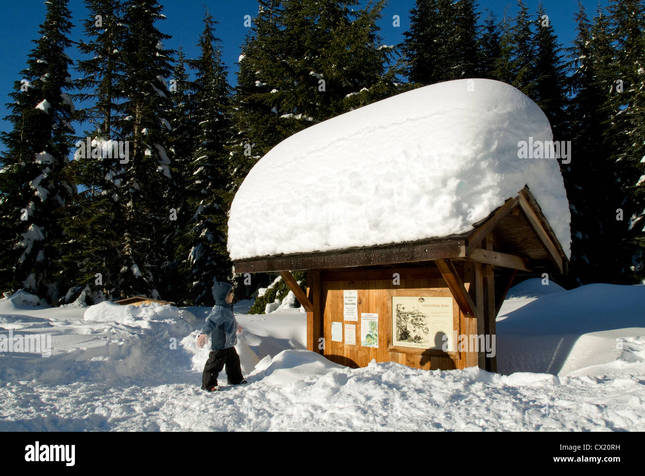 Junge Mädchen stehen neben Message-Board. Stockfoto