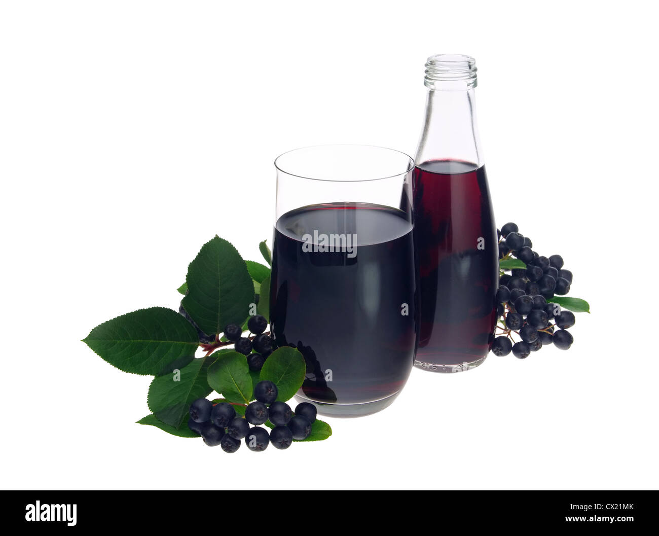 Aronia beeren -Fotos und -Bildmaterial in hoher Auflösung – Alamy