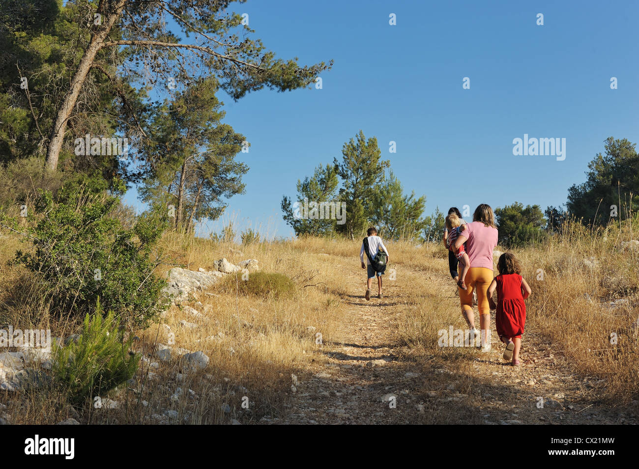 Ein Spaziergang durch den Wald in den Bergen von Israel, in der Nähe von Jerusalem Stockfoto