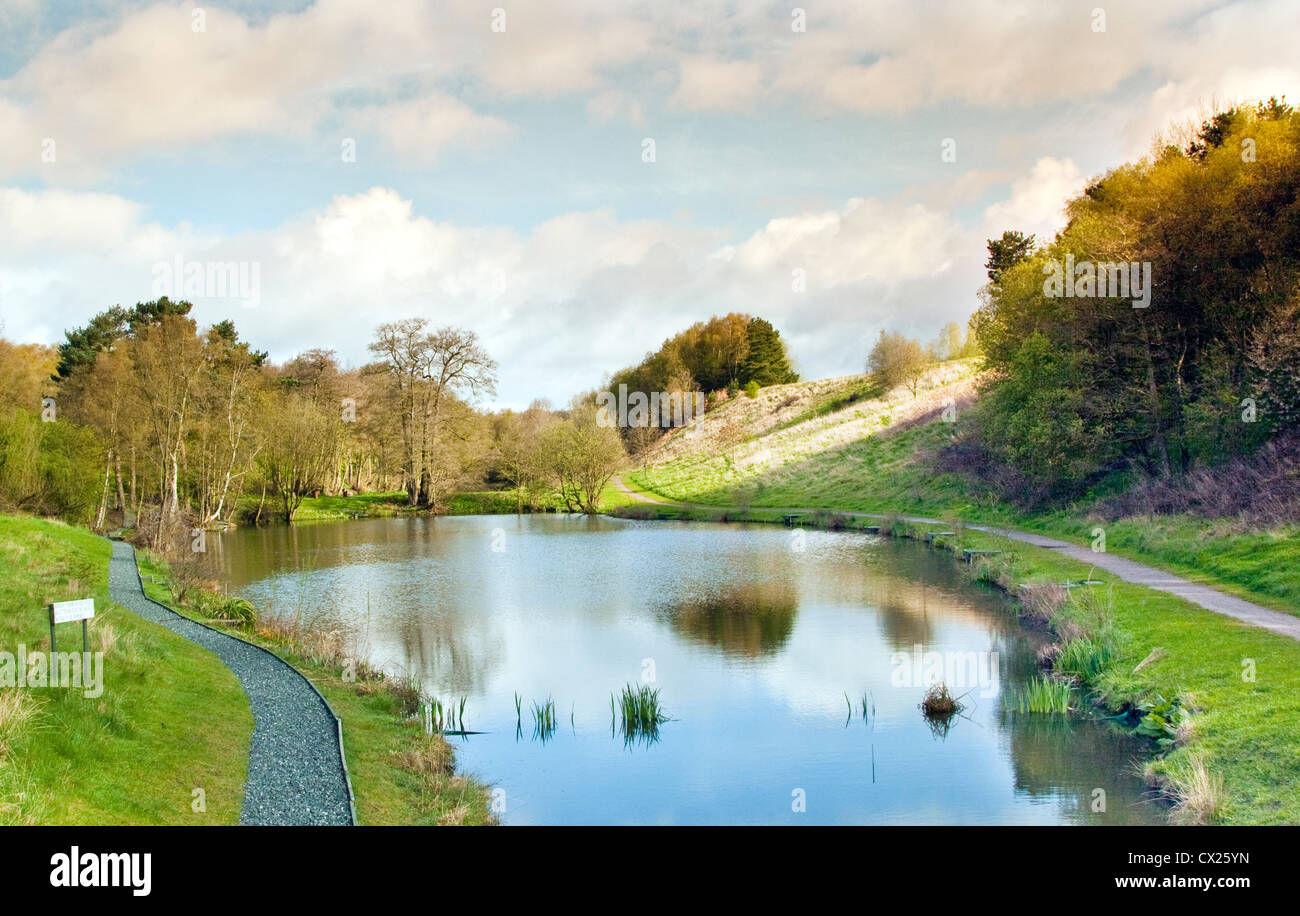 Angeln-Pool am Brindley West Cannock Cannock Chase Heidegebiet Außergewähnliche natürliche Schönheit im Frühling Staffordshire Stockfoto