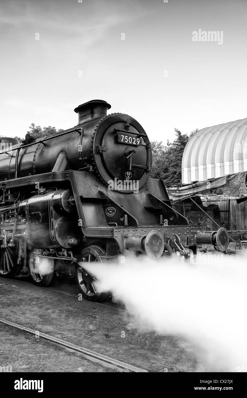 Dampfmaschine wirft der grüne Ritter Grosmont Motor auf der North Yorkshire Moors railway Stockfoto