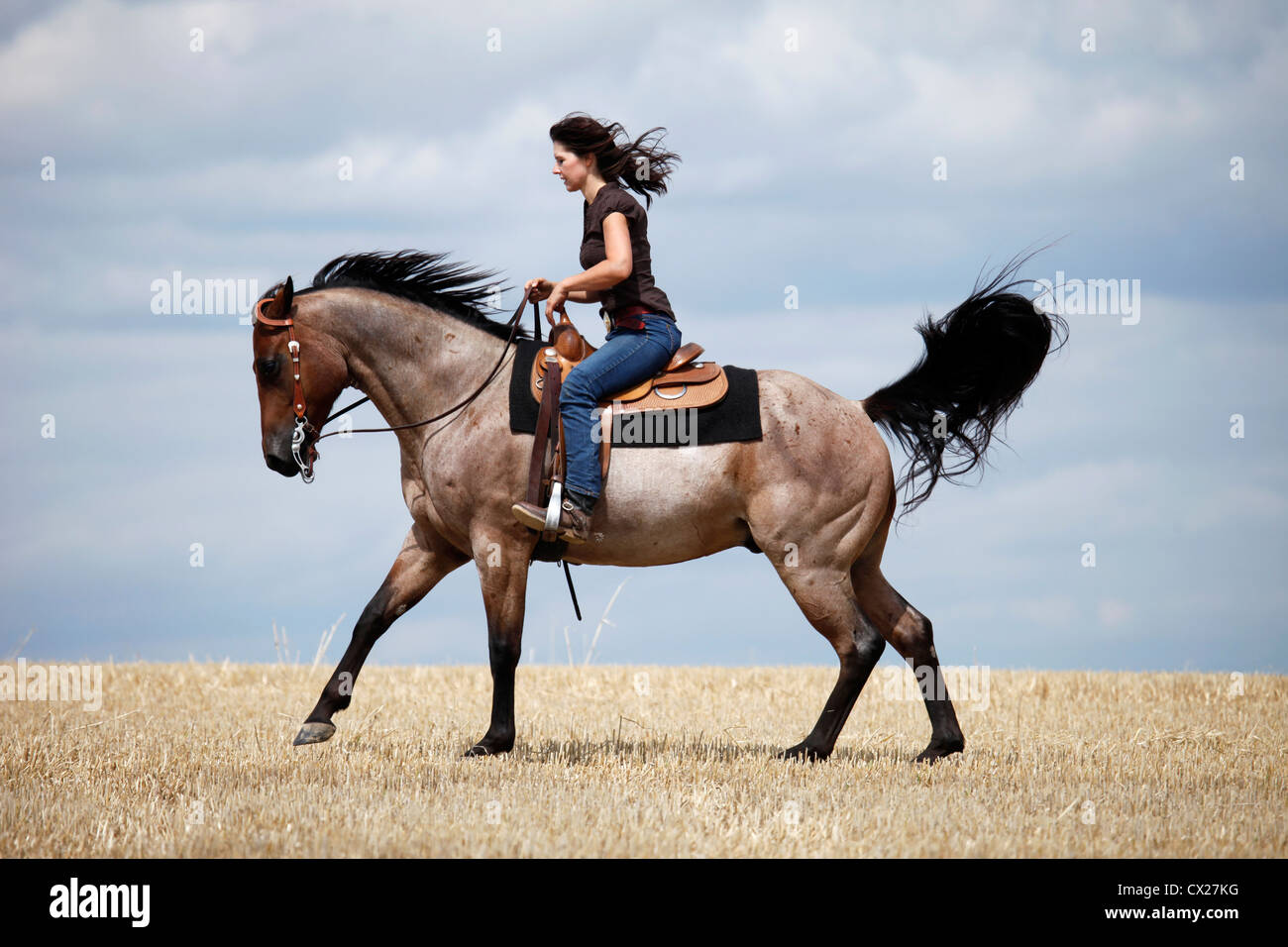 westliches reiten Reiterin Stockfoto