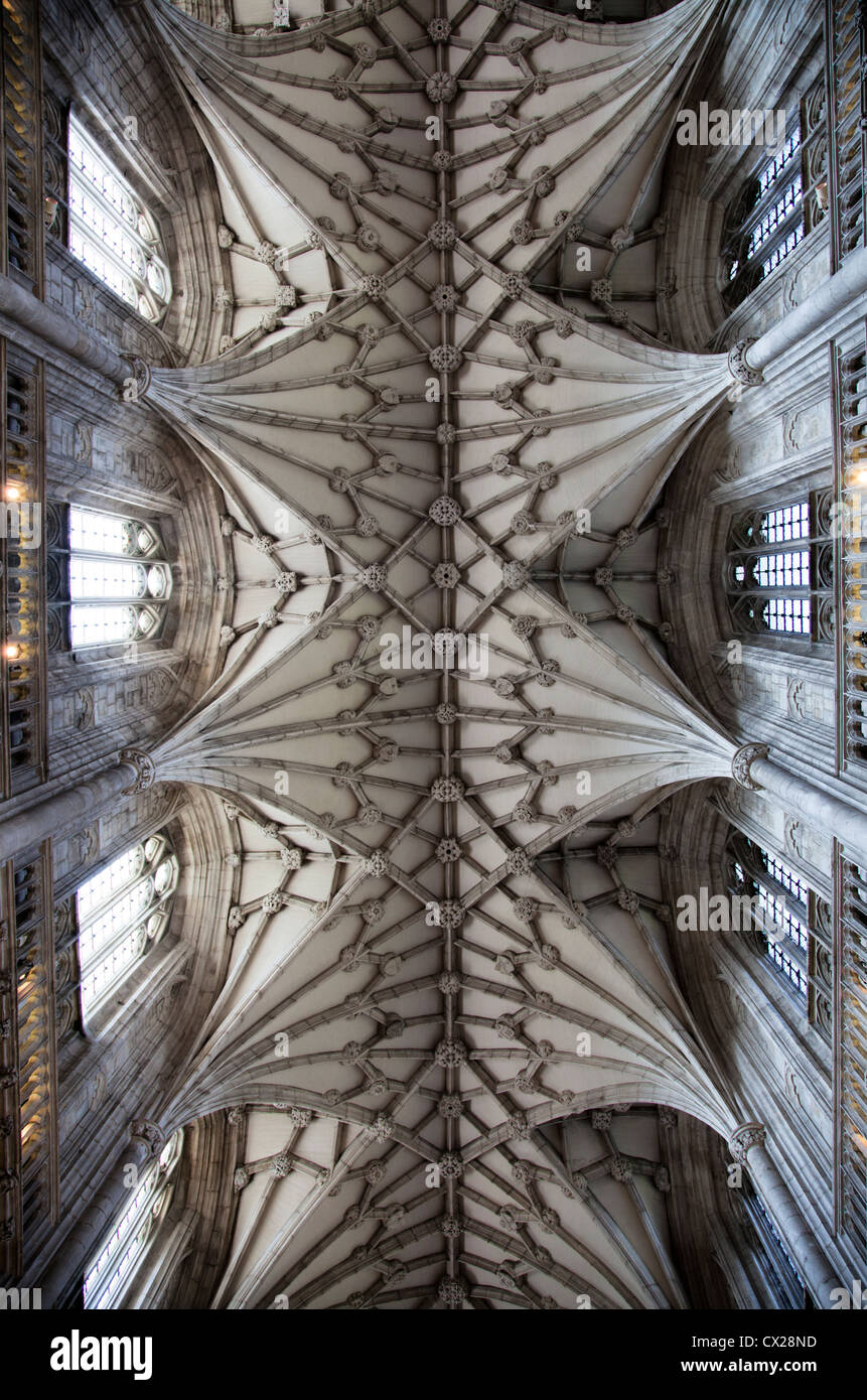 Winchester Kathedrale Kirchenschiff Decke - Hampshire UK Stockfoto