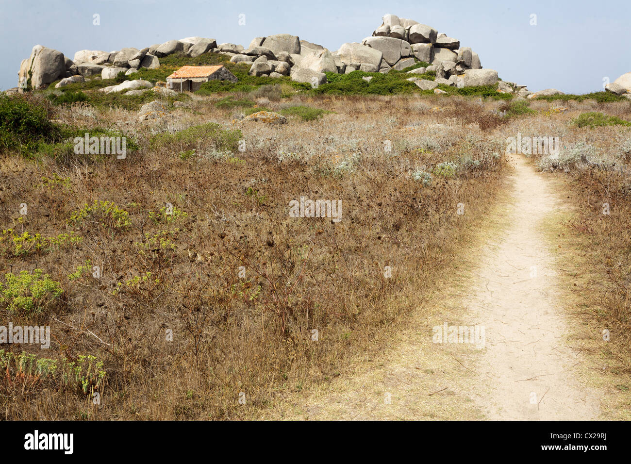 trockener Sommerlandschaft in Lavezzi Insel, Frankreich Stockfoto