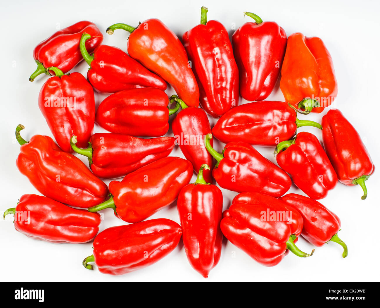 Viele rote Paprika legen auf weißem Hintergrund Stockfoto