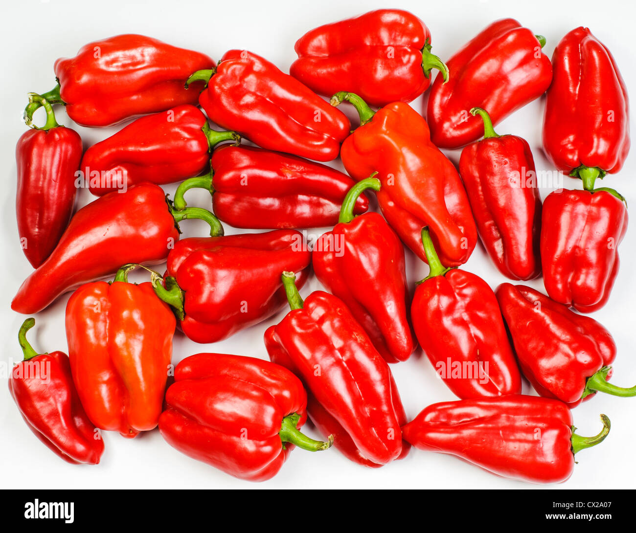 Viele rote Paprika legen auf weißem Hintergrund Stockfoto