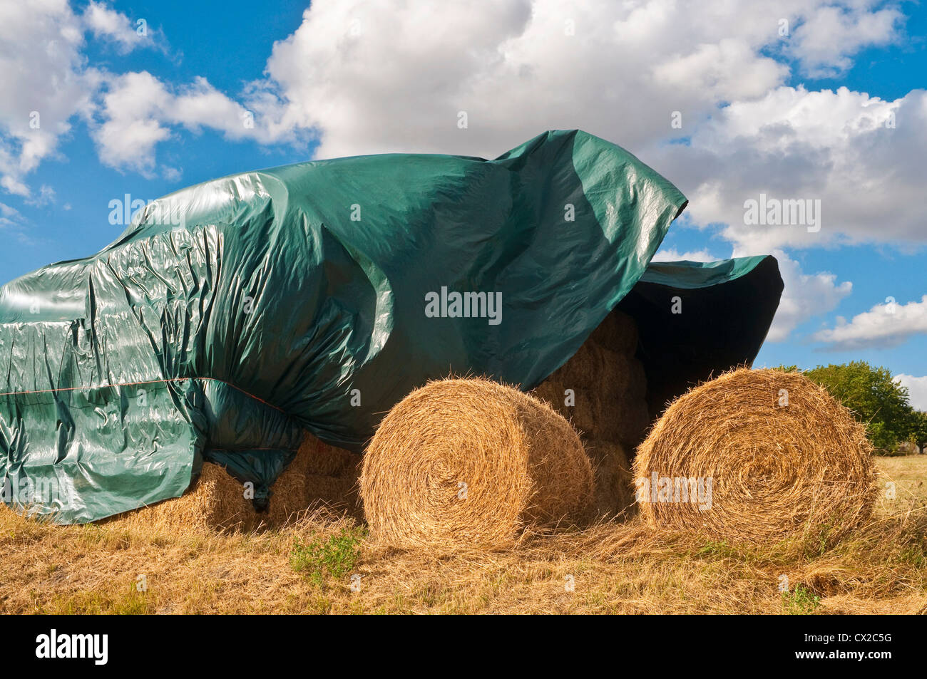 Stapel von Strohballen abgedeckt im schützenden Plastikplanen - Sud-Touraine, Frankreich. Stockfoto