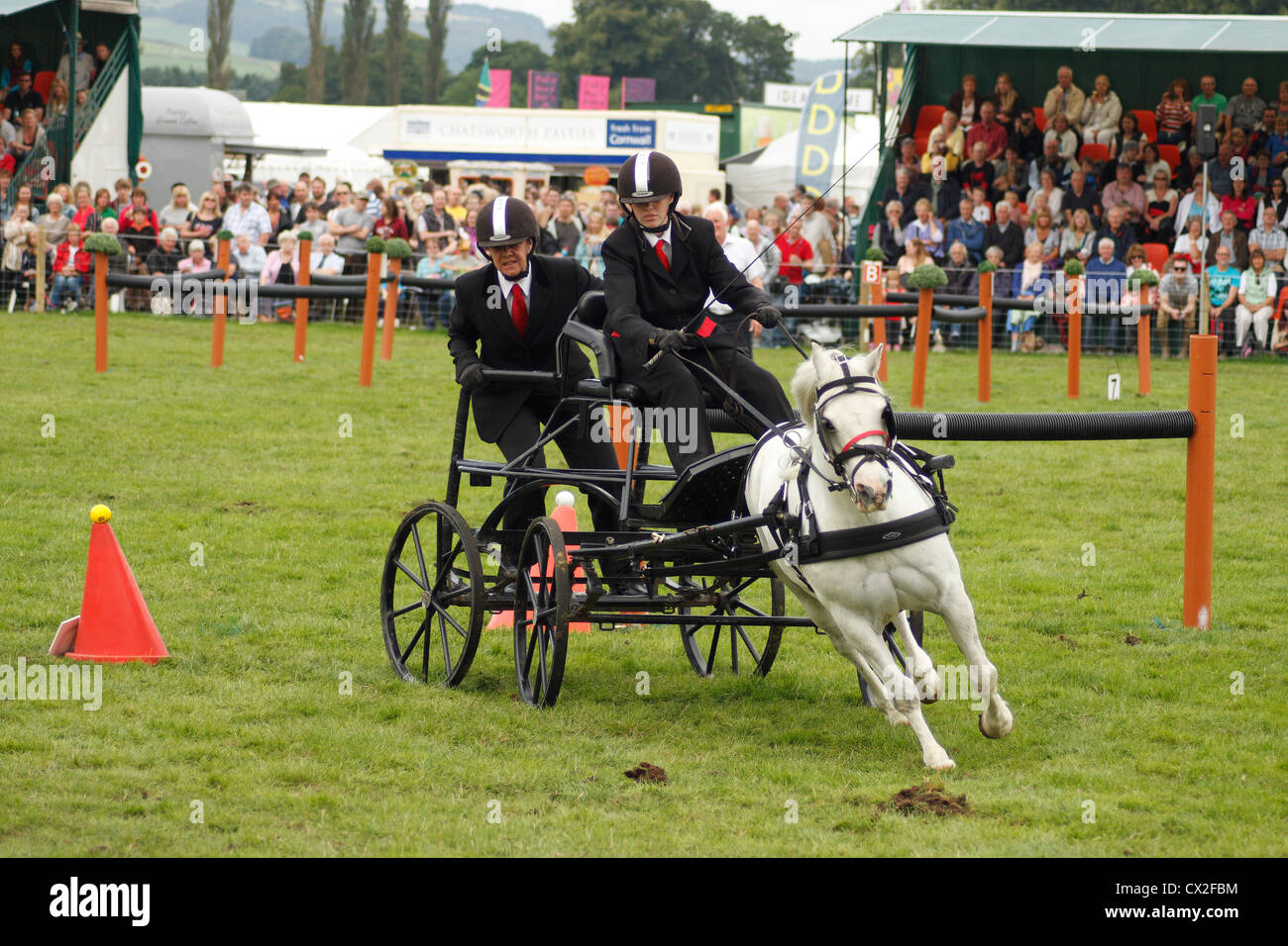 Mitglieder des Vereins huschen fahren konkurrieren in Chatsworth Country Fair 2012, Chatsworth House, Derbyshire, UK Stockfoto