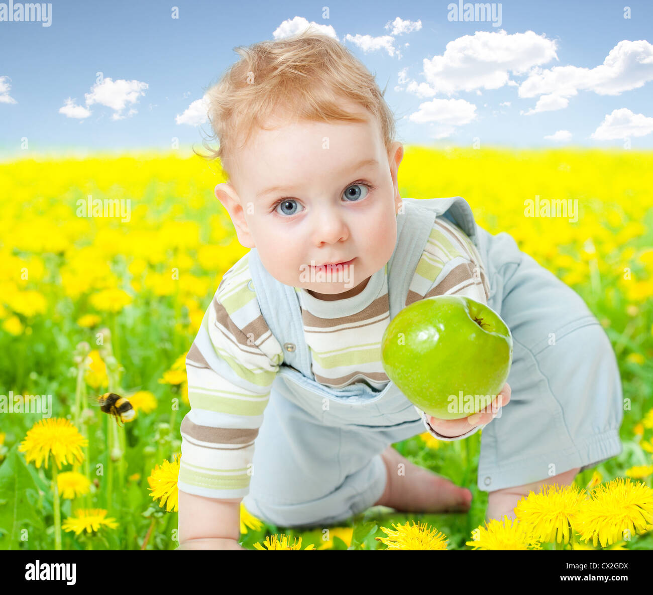 Baby Boy unter Löwenzahn mit gesunden Lebensmitteln Apfel in der hand Stockfoto