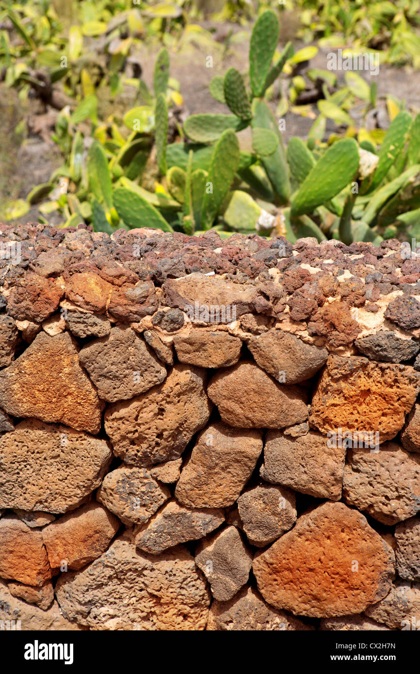 Lanzarote La Guatiza Mauerwerk mit vulkanischen Steinen Kanarische Inseln Stockfoto
