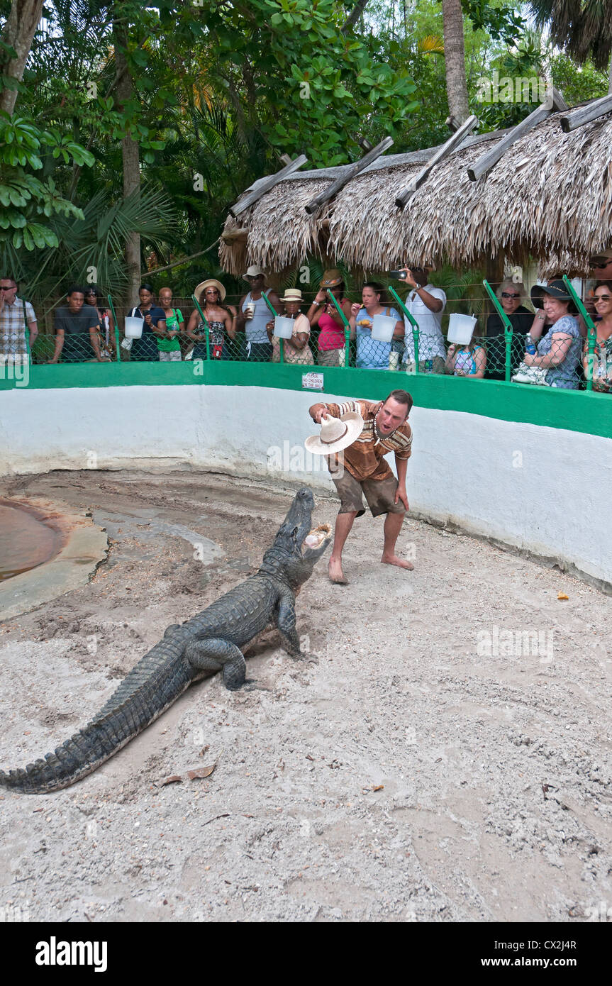 Dschungel Queen cruise Funktionen einer tropischen Insel mit Alligator wrestling.  Ft.Lauderdale,Florida. Stockfoto