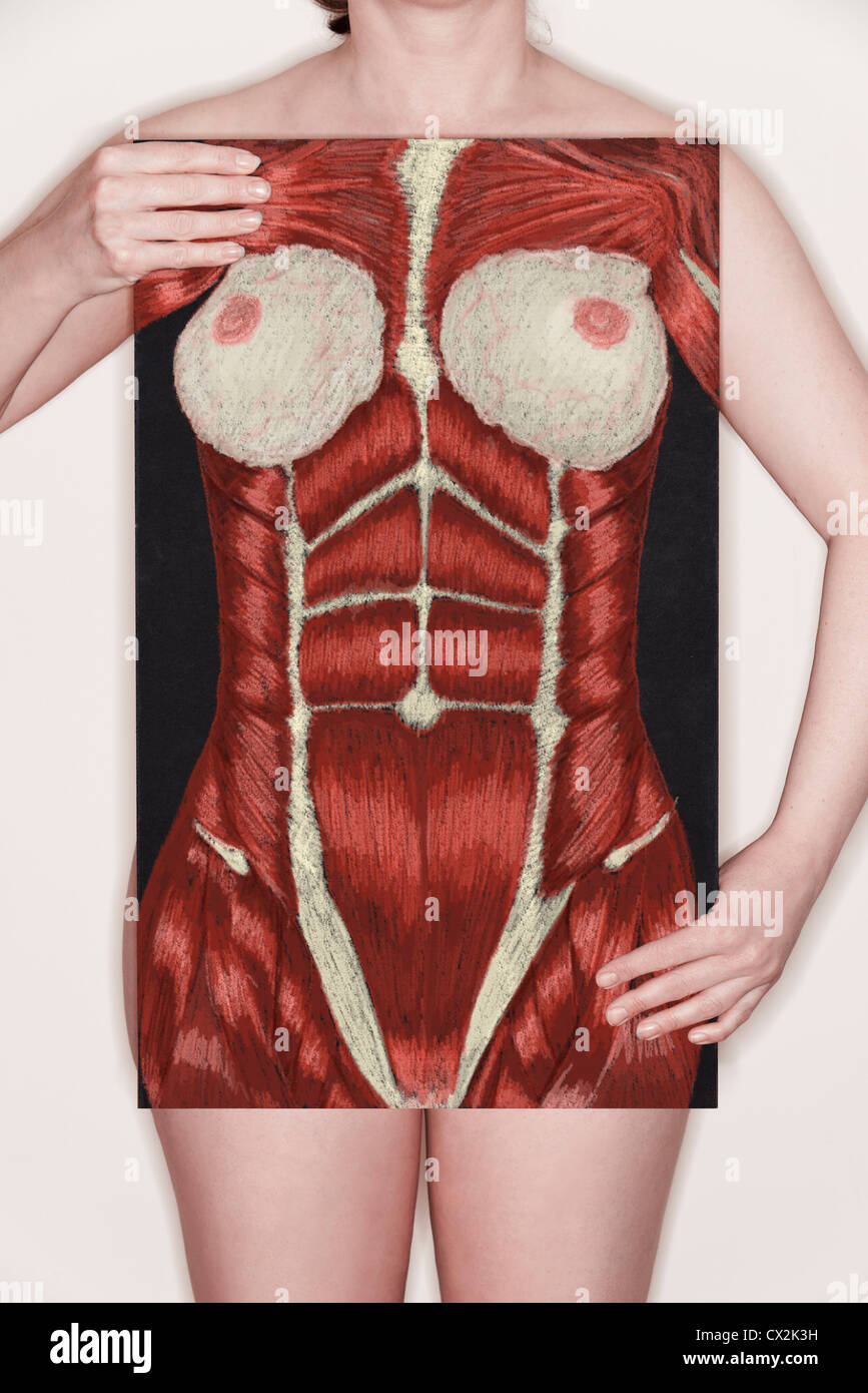 Frau hält eine Tafel mit einer Abbildung der menschlichen weiblichen oberflächlichen Muskulatur darauf mit Kreide gezeichnet. Konzept-Bild Stockfoto