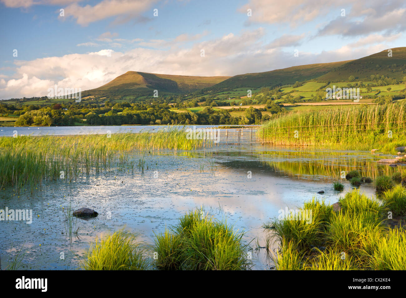 Mynydd Troed Berg vom sonnigen Ufer des Llangorse Sees, Brecon Beacons National Park, Powys, Wales. Stockfoto