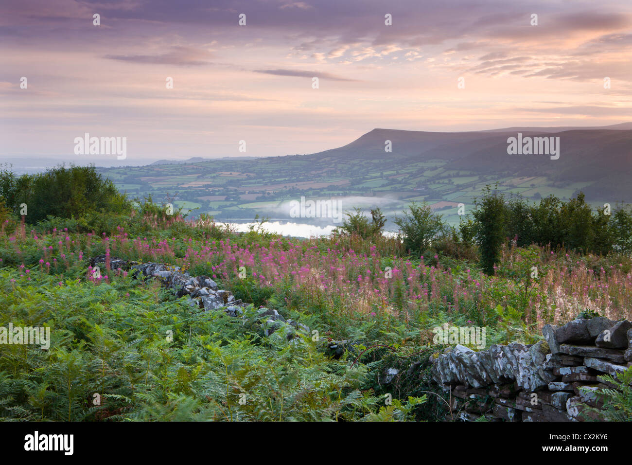 Trockenmauer mit Blick auf Llangorse See und Mynydd Troed, Brecon Beacons, Wales Stockfoto