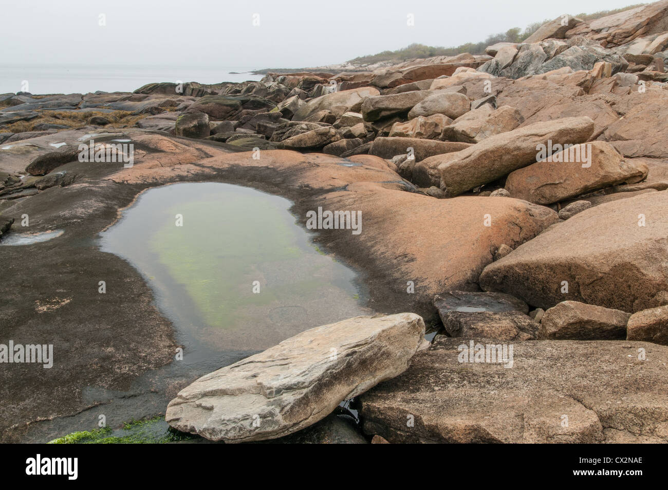 Seaside Granit am Nordwest-Ufer des Cape Ann, Massachusetts, nahe dem Dorf Lanesville. Stockfoto