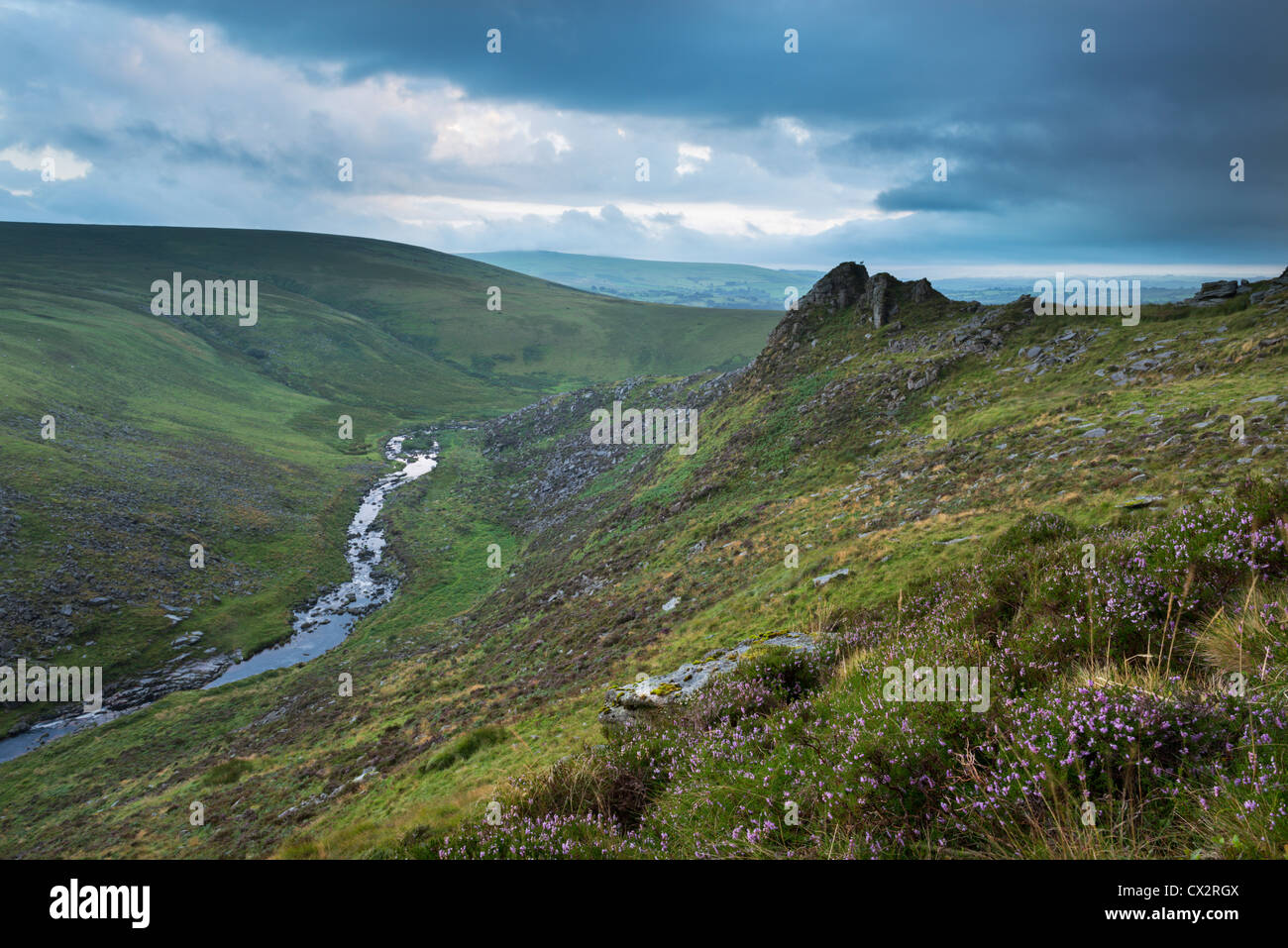 Dramatische Landschaft an Tavy Cleave, Dartmoor National Park, Devon, England. (August) im Sommer 2012. Stockfoto