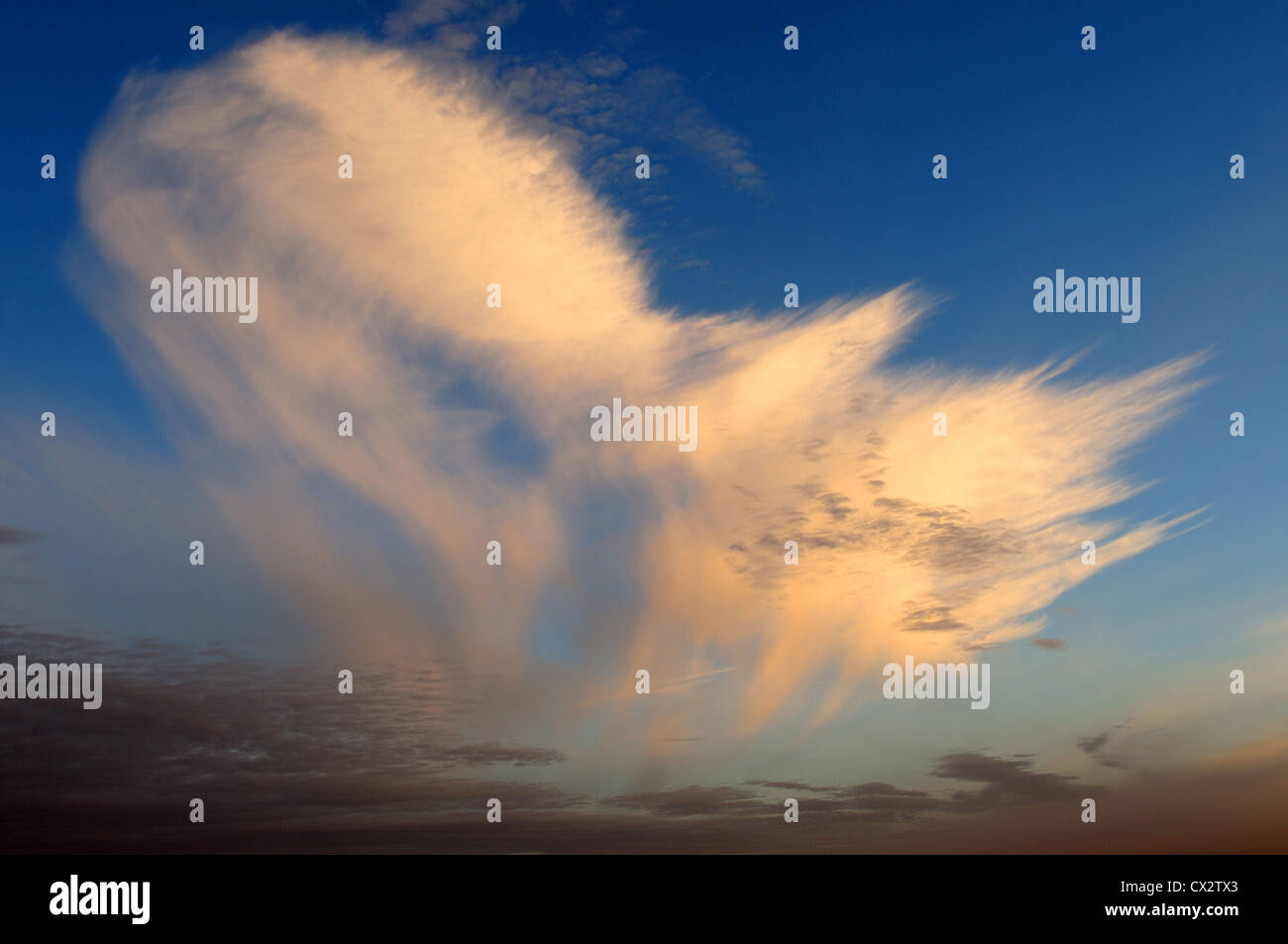 Altocumulus "Makrele Himmel" bei Sonnenaufgang. Stockfoto