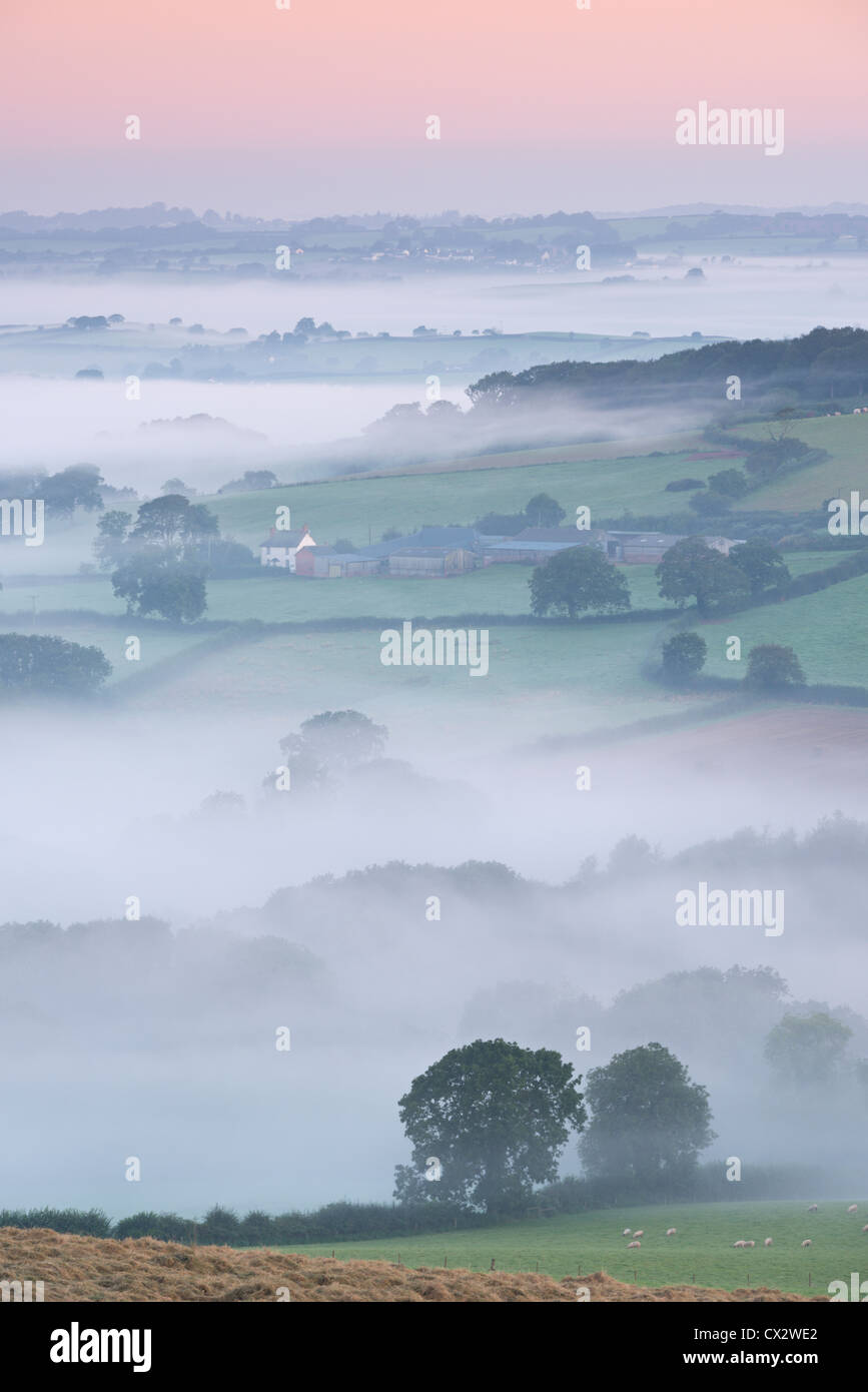 Nebel bedeckte Landschaft in der Morgendämmerung, Stockleigh Pomeroy, Devon, England. Herbst (September) 2012. Stockfoto