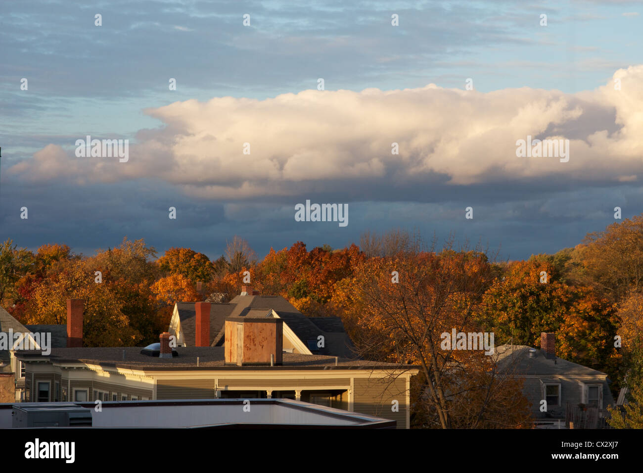 Blick über die bunten Herbst Bäume von Cambridge, MA, USA. Stockfoto