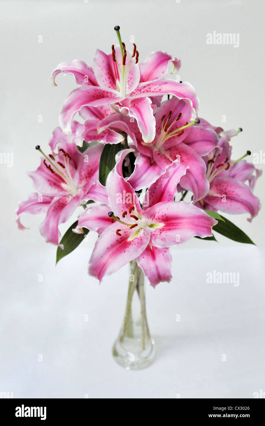 Bouquet von rosa Lilien in Glasvase Stockfoto