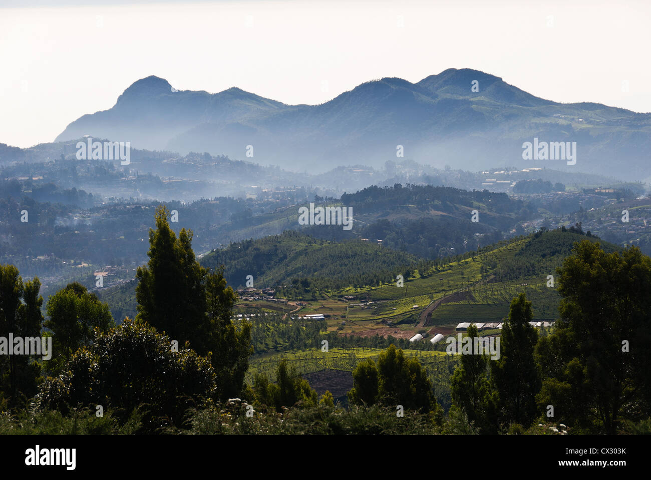 Elk201-5534 Indien, Tamil Nadu, Udhagamandalam (Ooty), Mt Doddabetta Lookout, Landschaft Stockfoto
