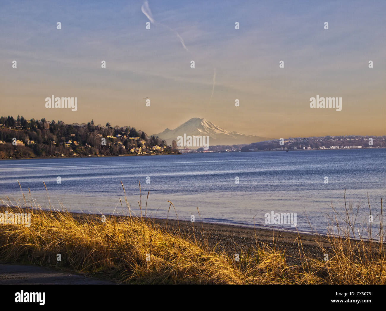 Mount Rainier WA Stockfoto